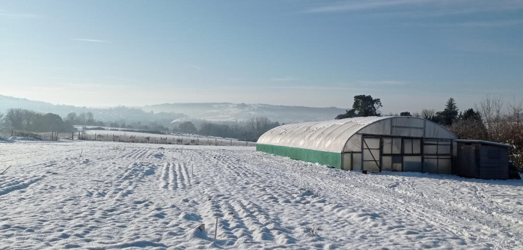 Farm in the snow