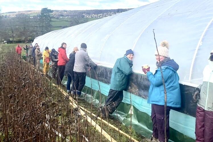 volunteers maintaining a polytunnel